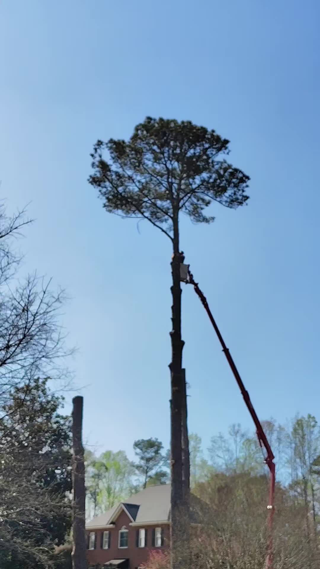 @R&G tree and landscaping
