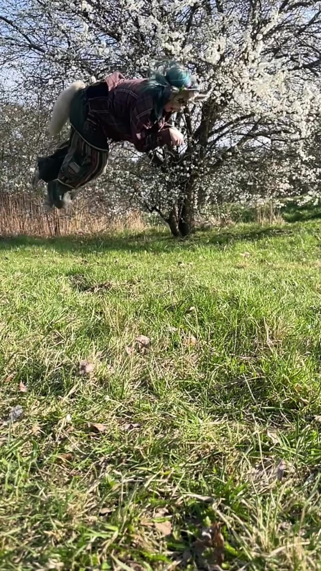 @🪲 ✩🌻 ᴊᴇꜱꜱᴇ 🐝 *ੈ✩‧₊˚