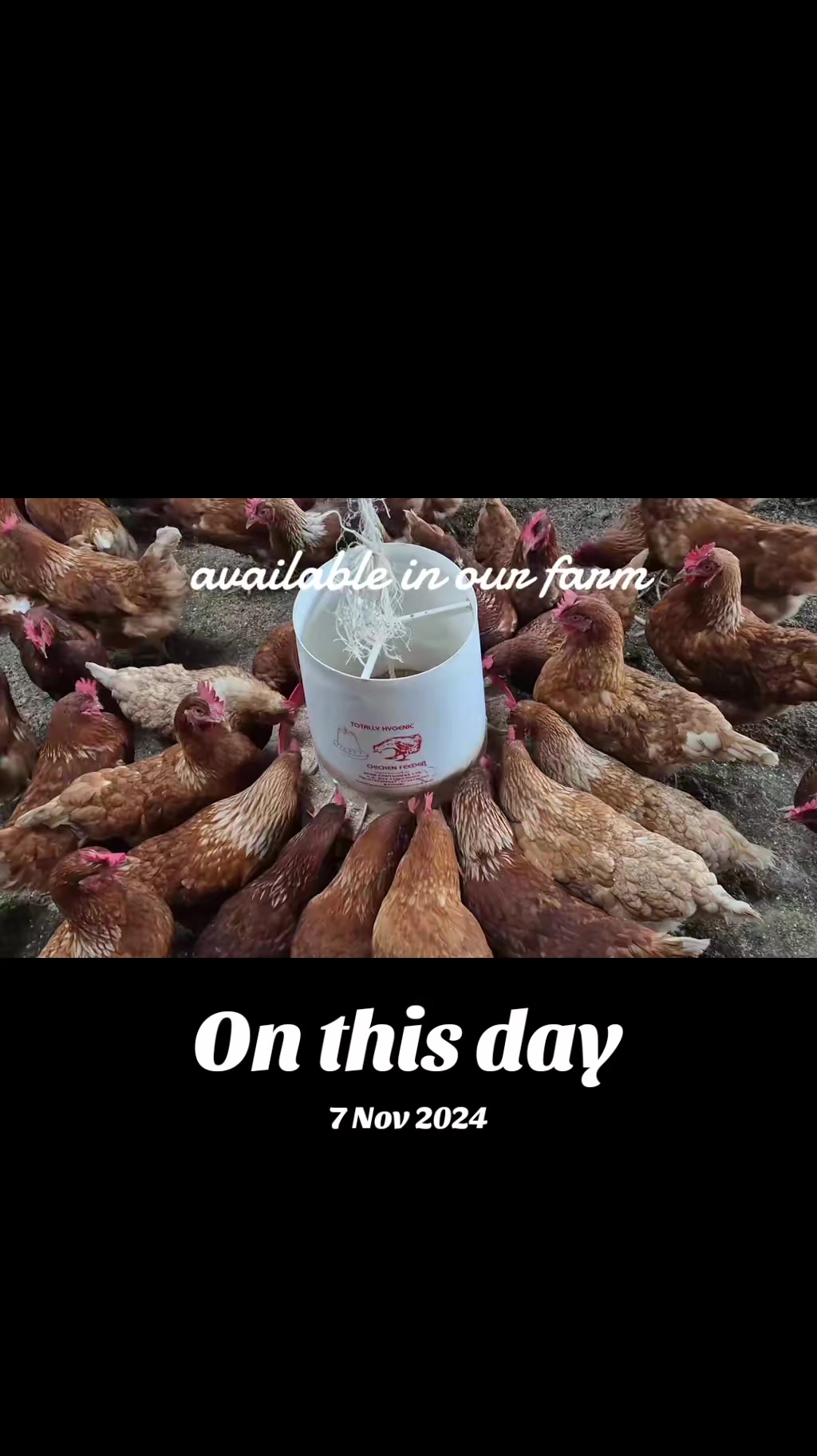 @stepfarm
