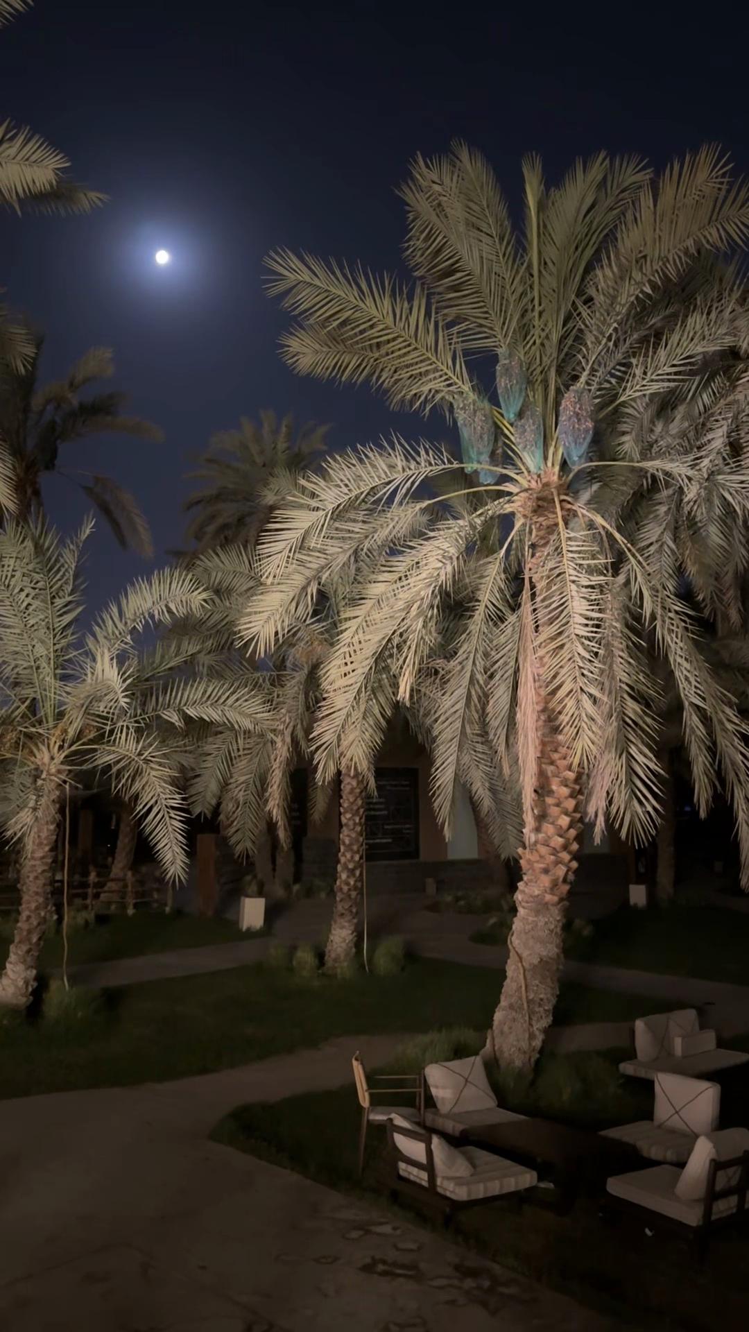 @مـاجد الحربي