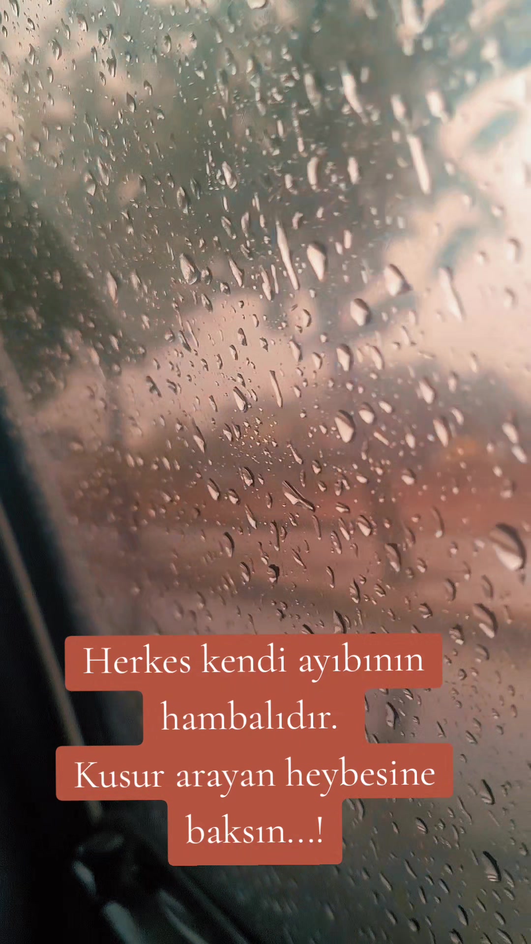 @Fatma Dalgıc
