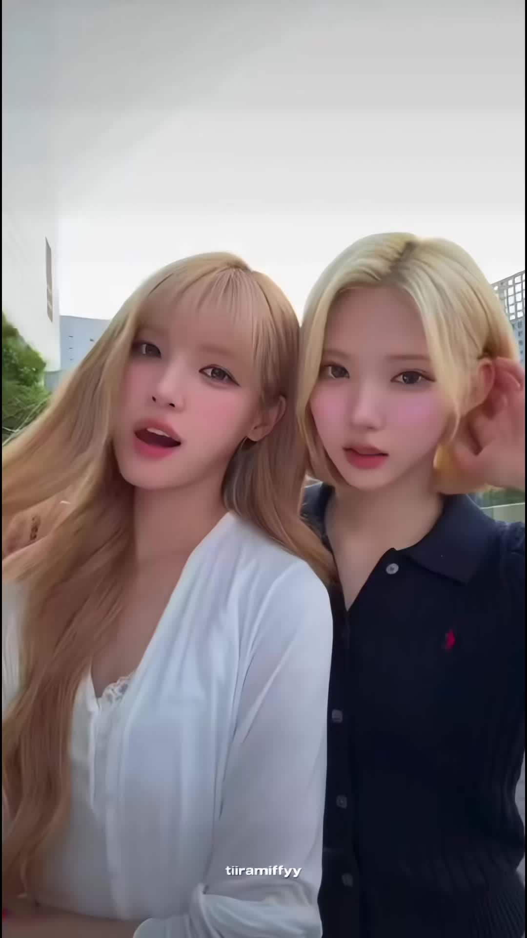@tiramisu .ೀ