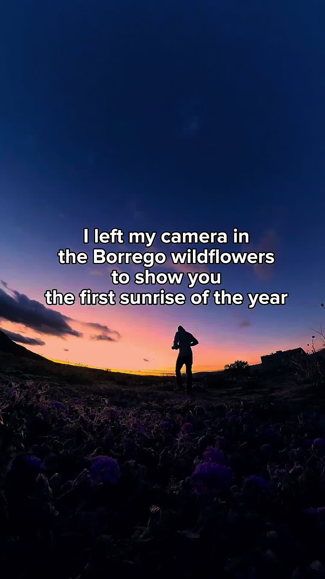 @josephsurfs