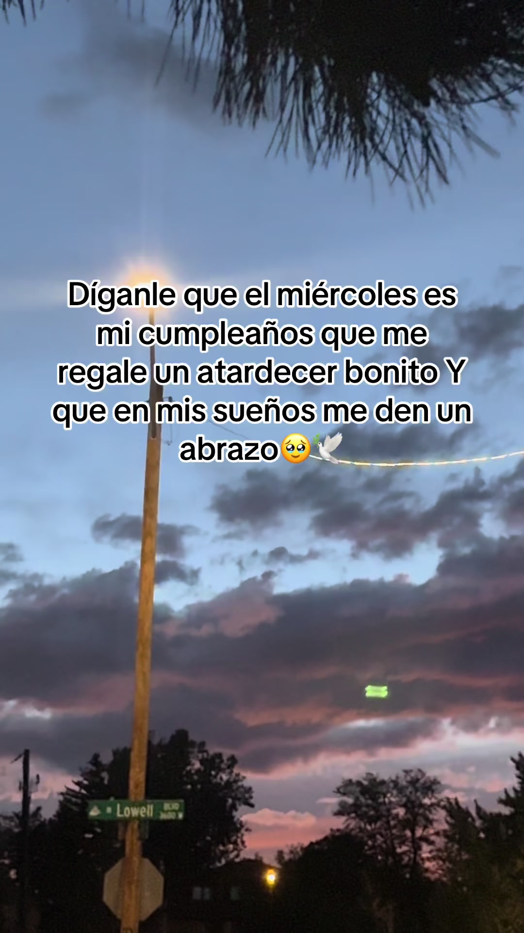 @Mariana Martinez