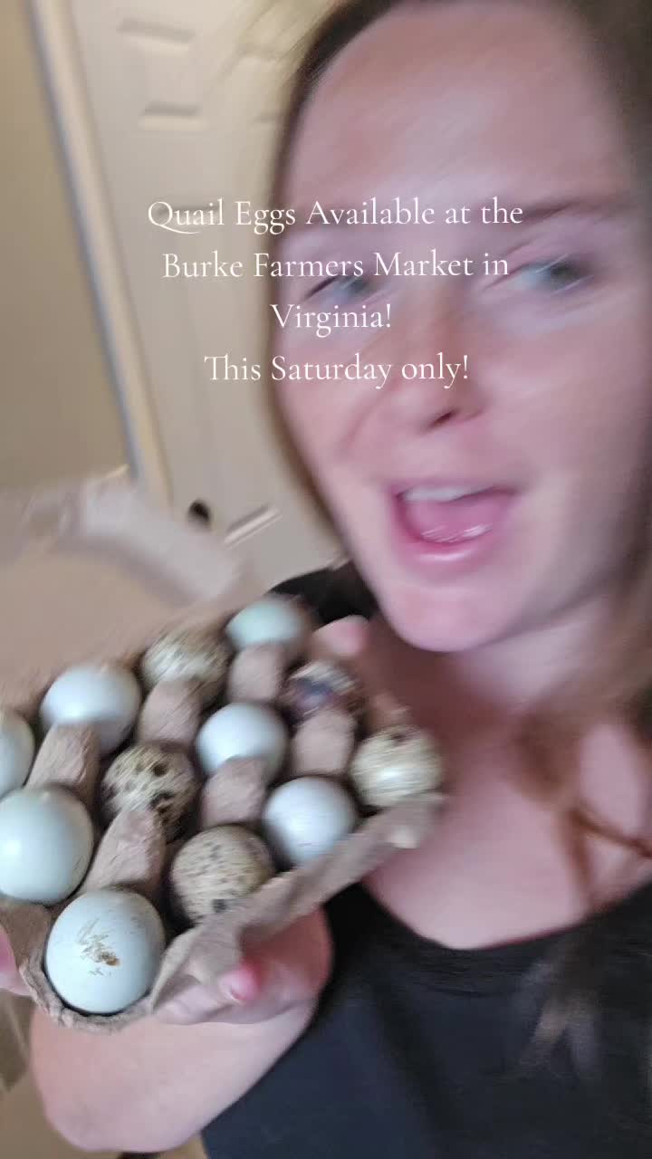 @ActiveMommy
