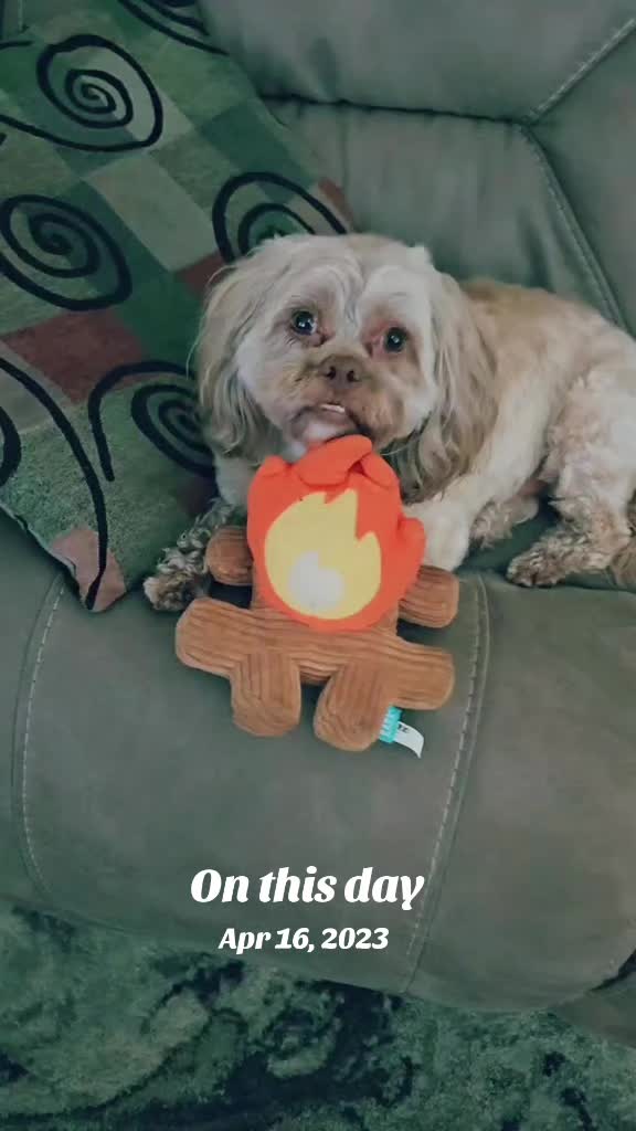 @FurMomLizz