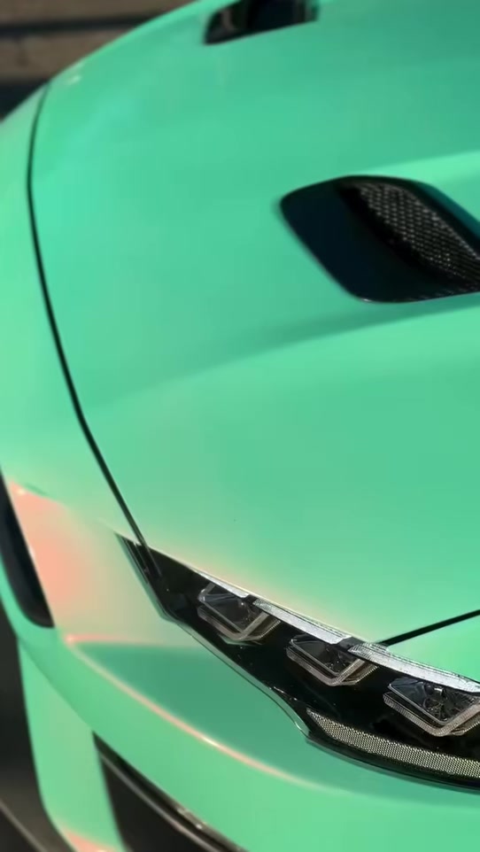 @TopTierMustang