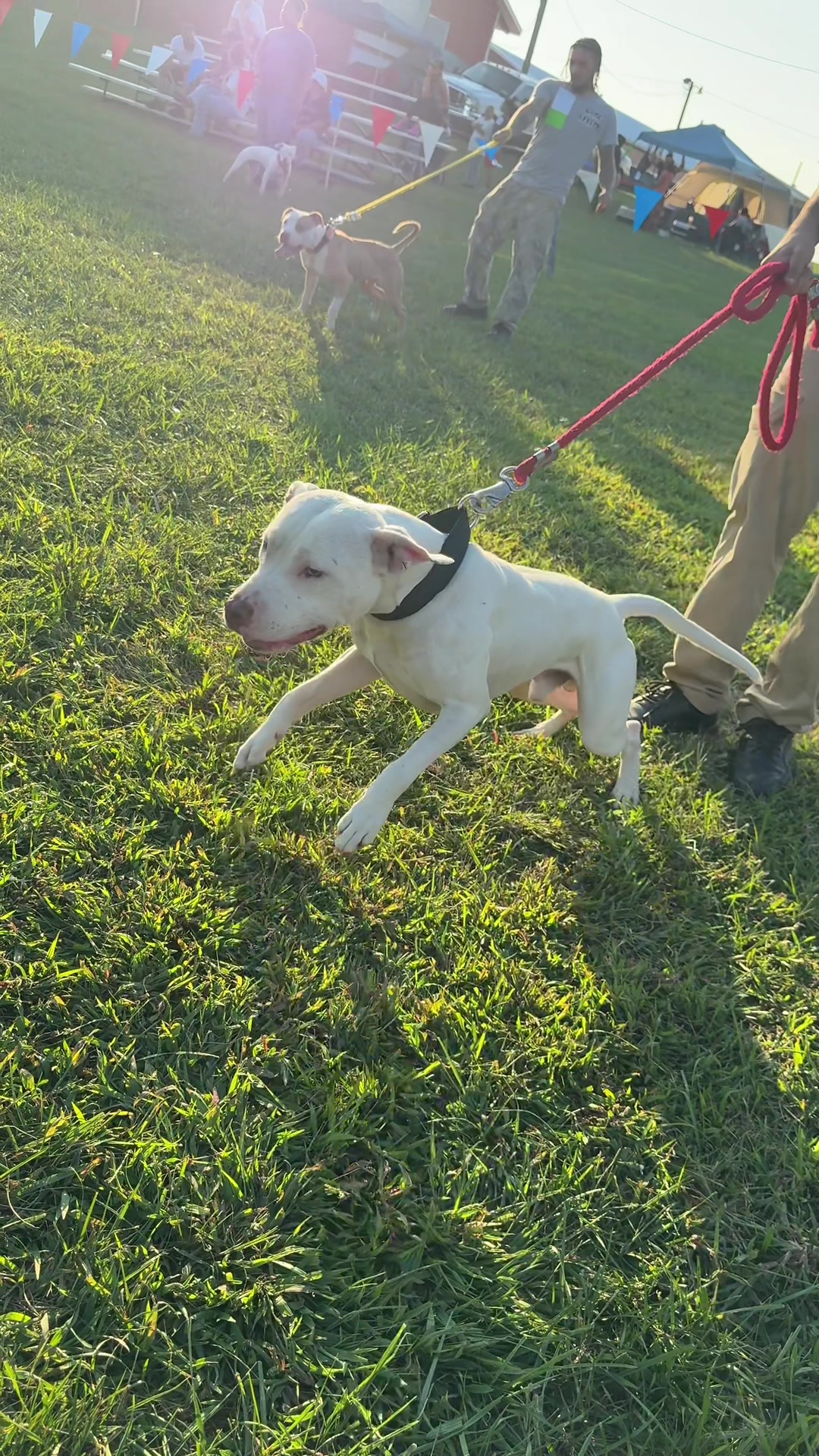 @Rocha_apbt