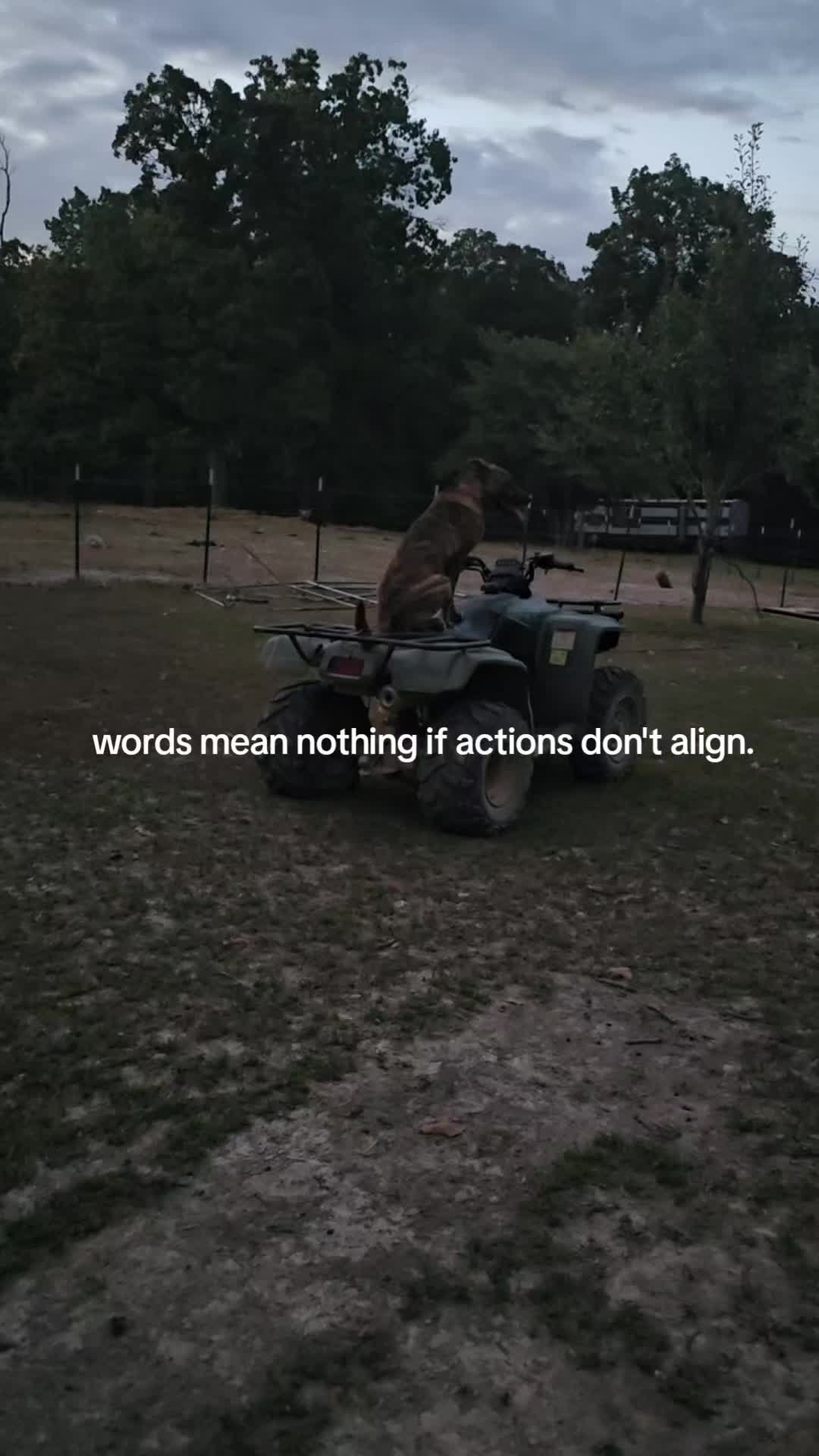 @that dumb little shit