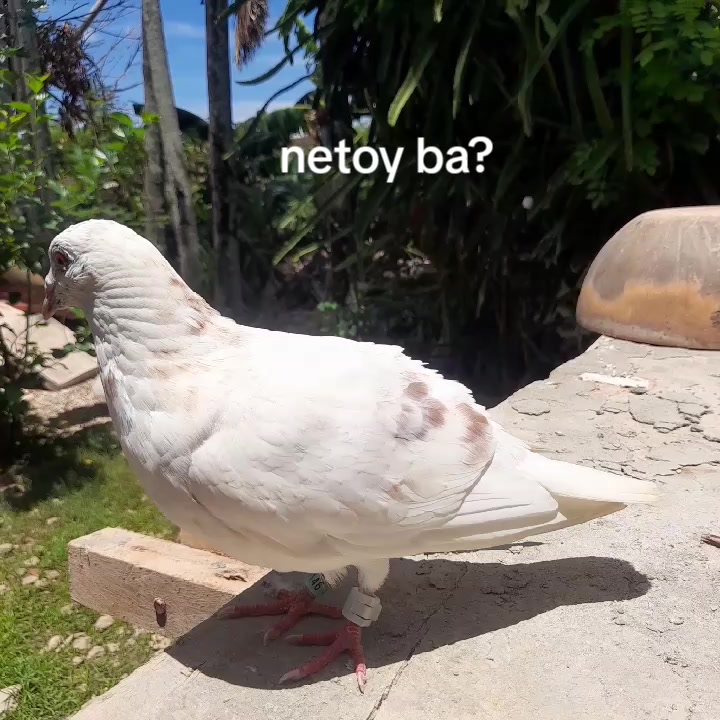 @notyour_babyy