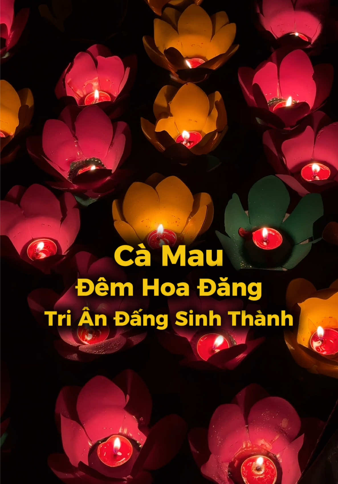 @B&eacute; Rồng