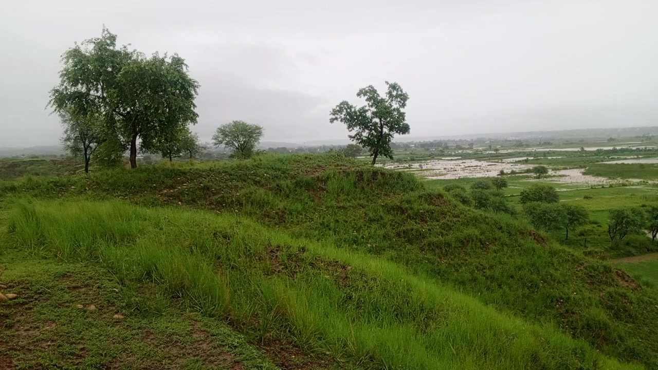 @Raja Moin