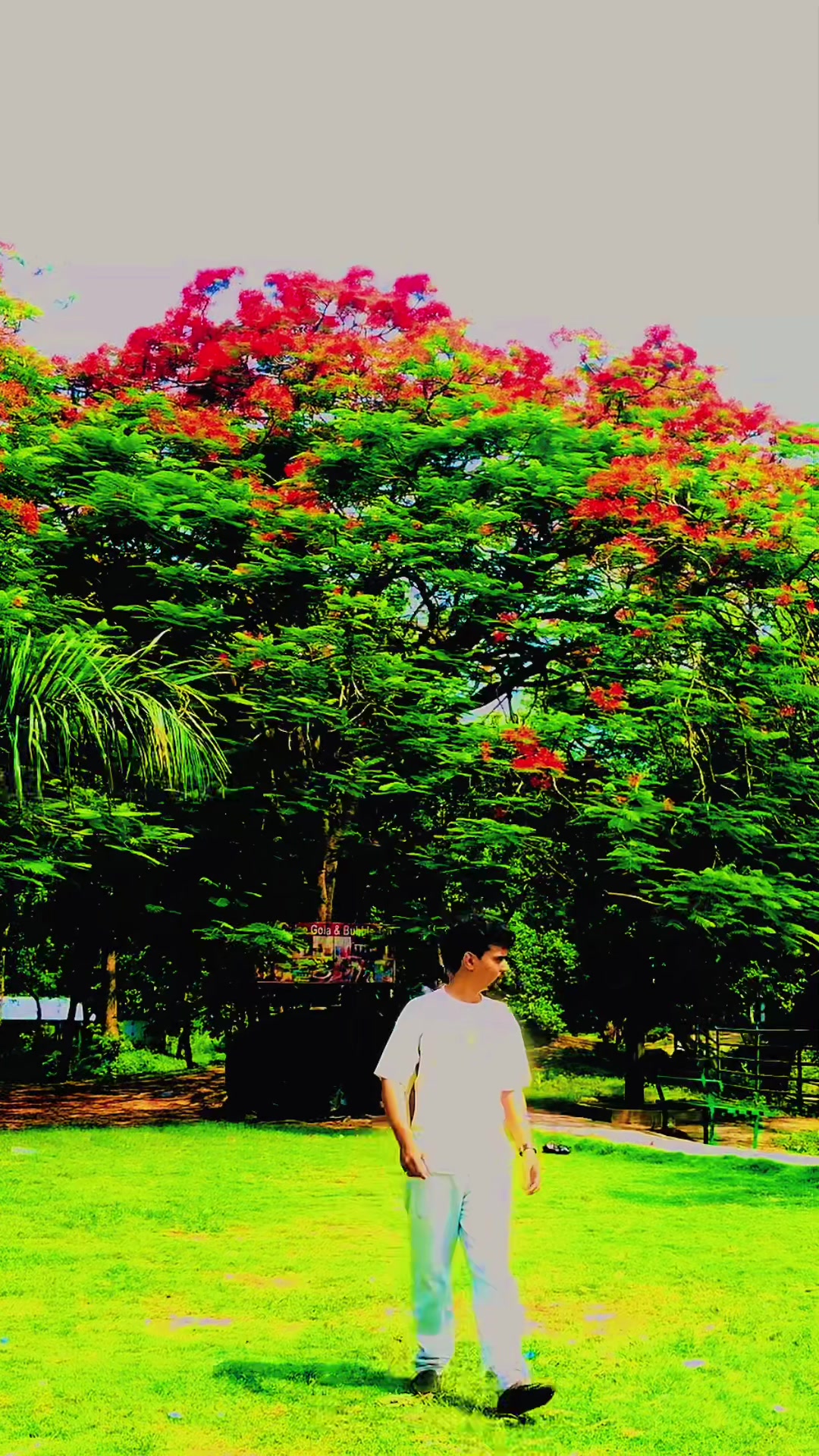 @🔱 SIR ◔◡◔ BASE 🕉️