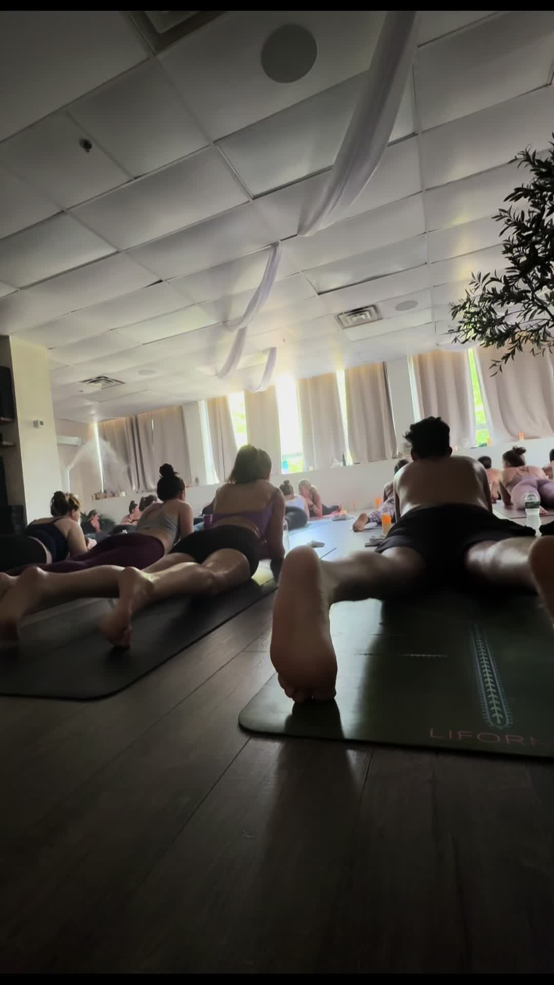 @MalkiJay