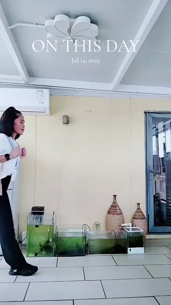 @💚🌈 DANZTIK ADMIN YVONNE 🌈💚