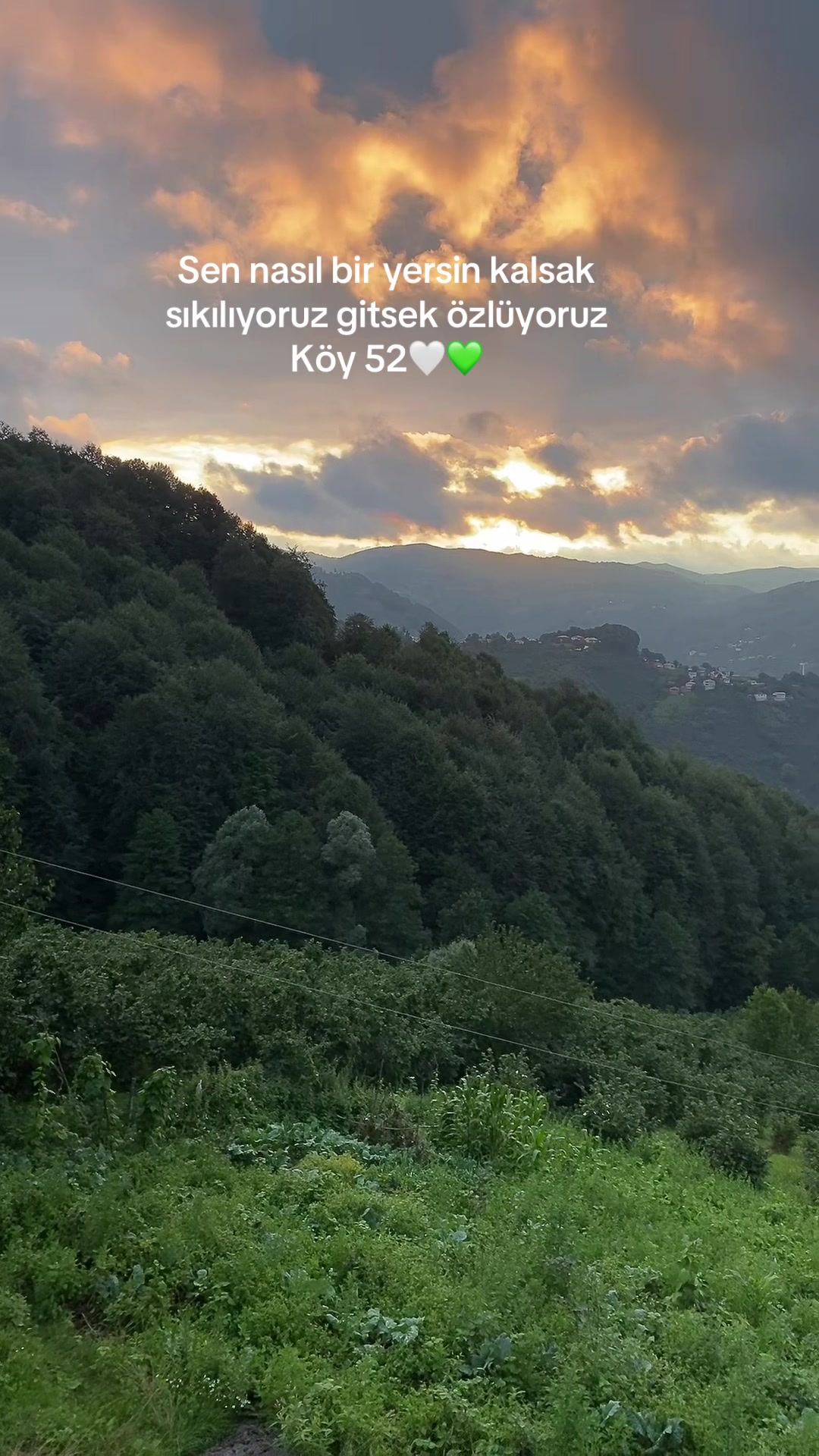 @Türkü1