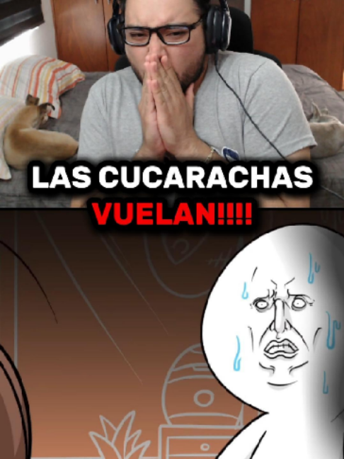@Alexelbroo