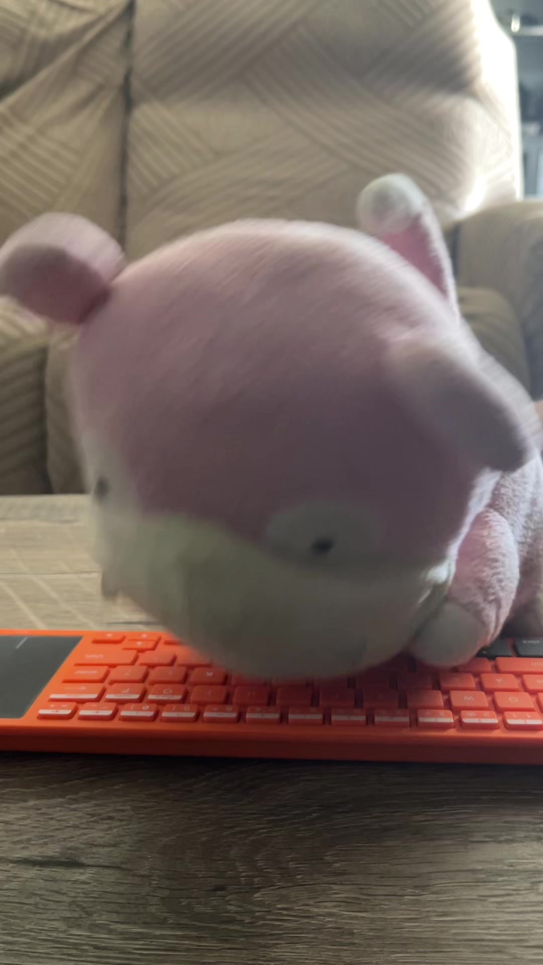 @TheVegasSlowpoke