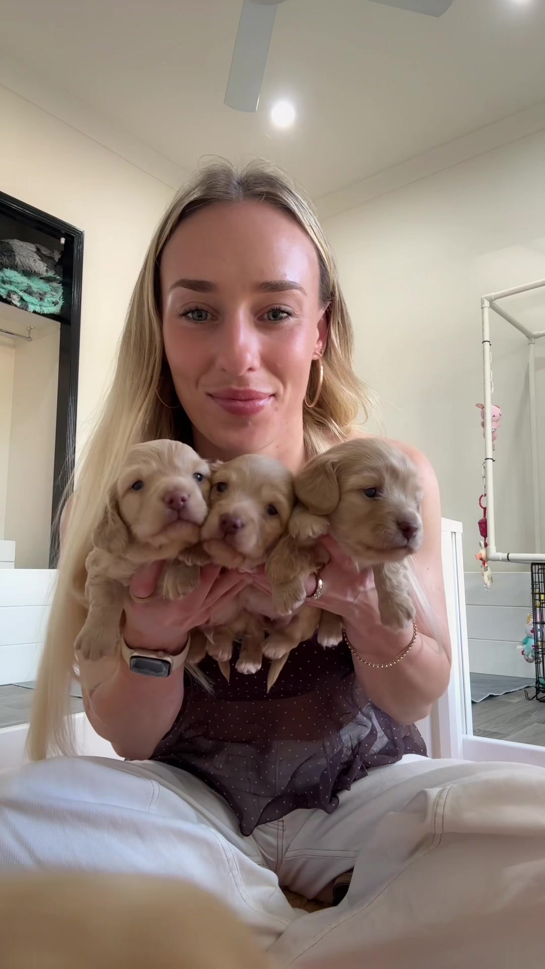 @Dachshund Dynasty