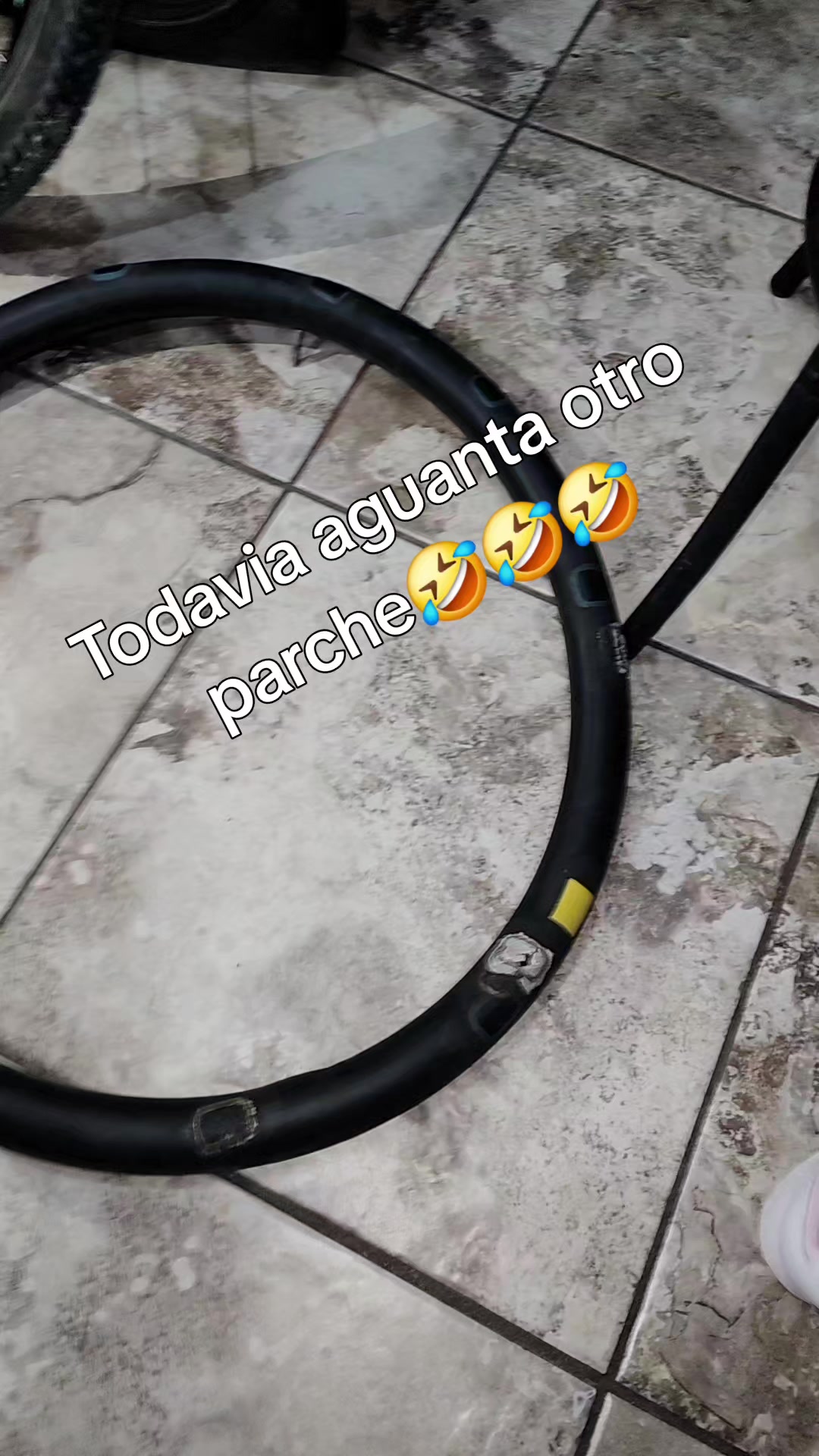 @Anabel Romero