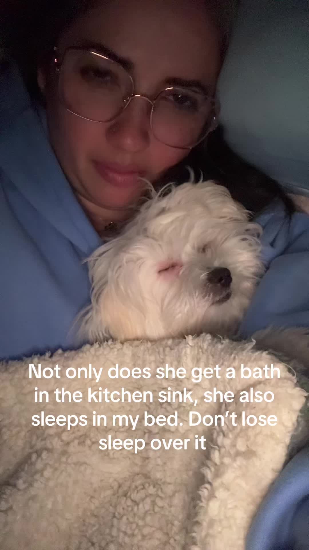 @massimo.the.maltipoo