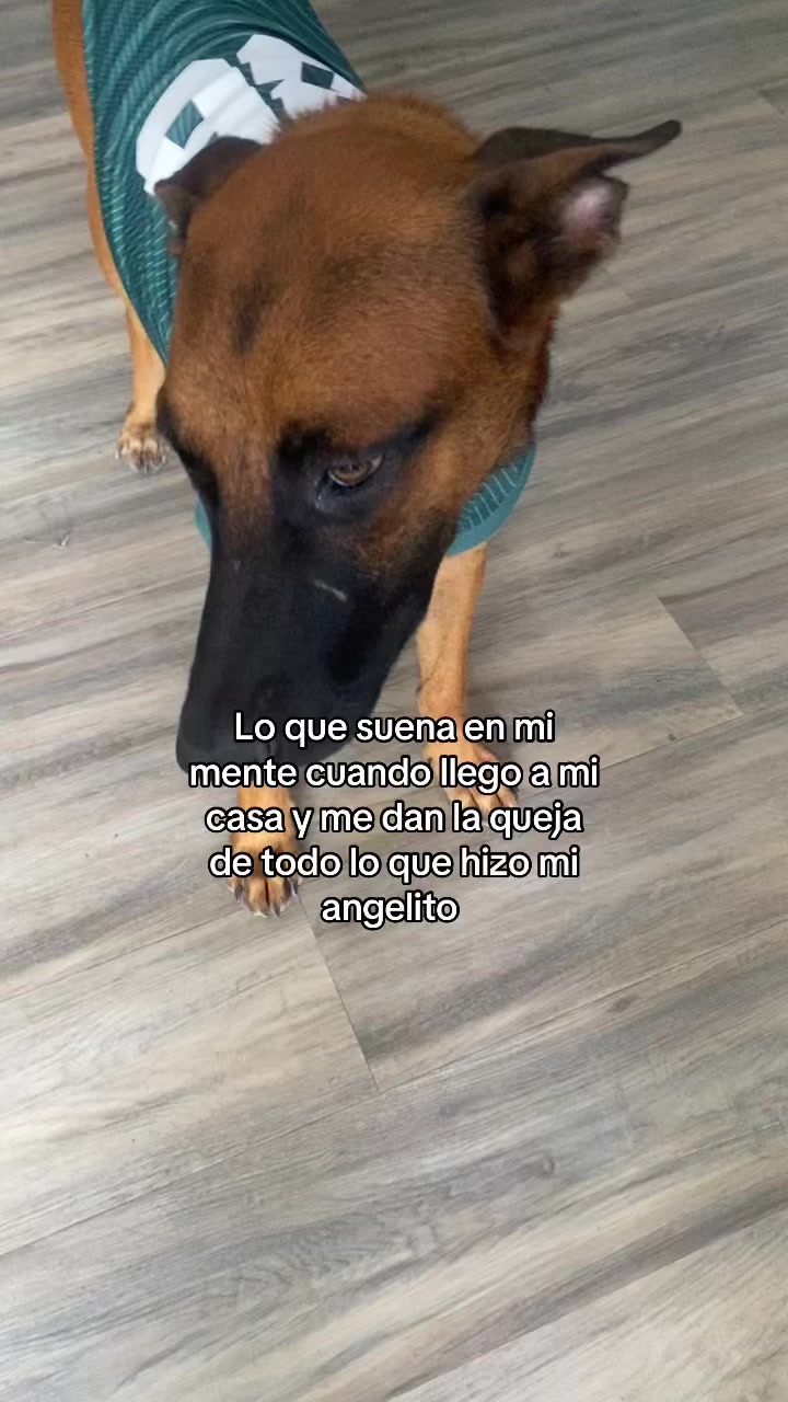 @Dany Tapia