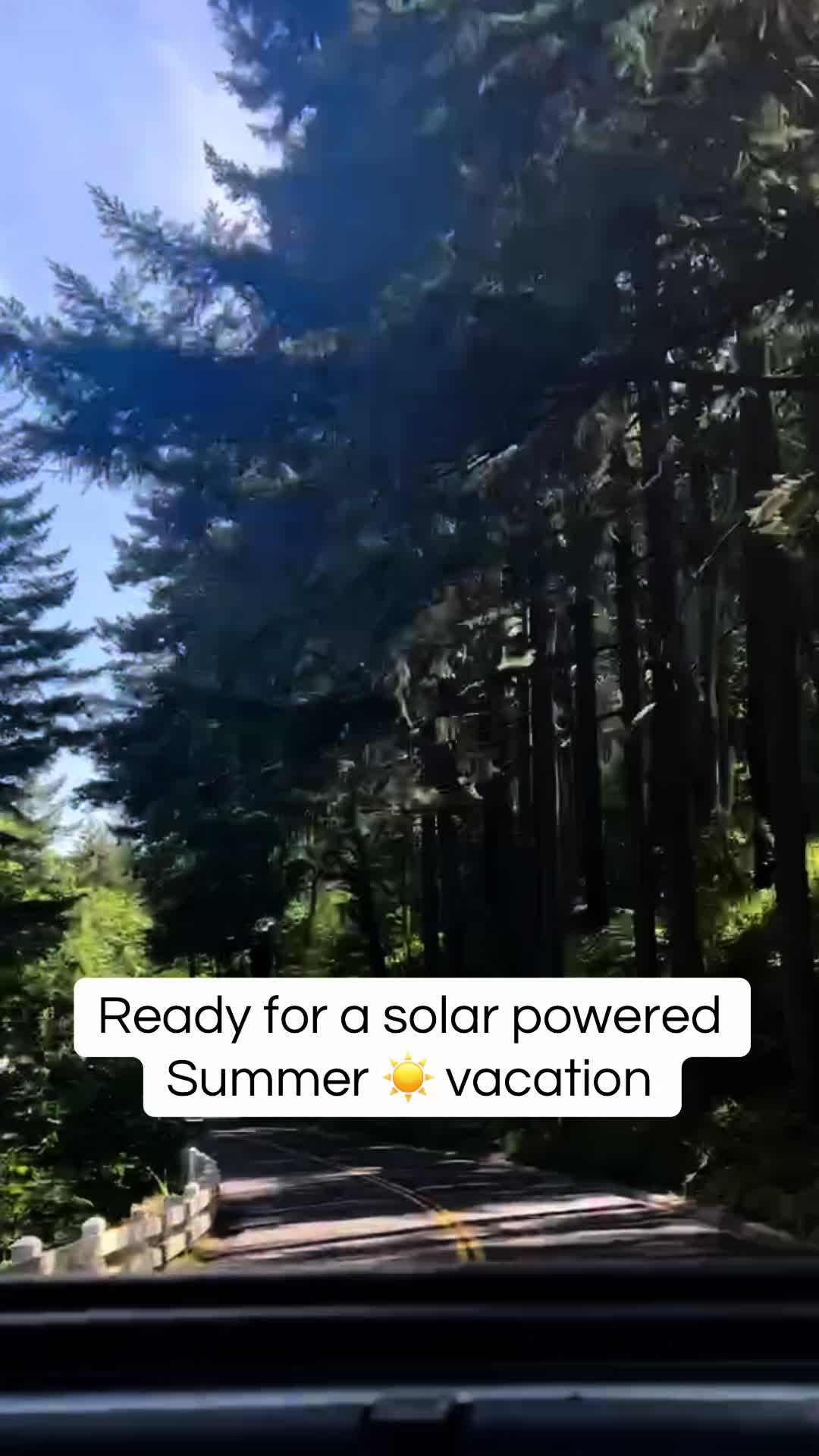@casscass.wilson