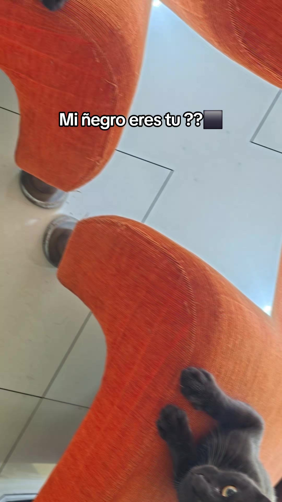 @melissit@