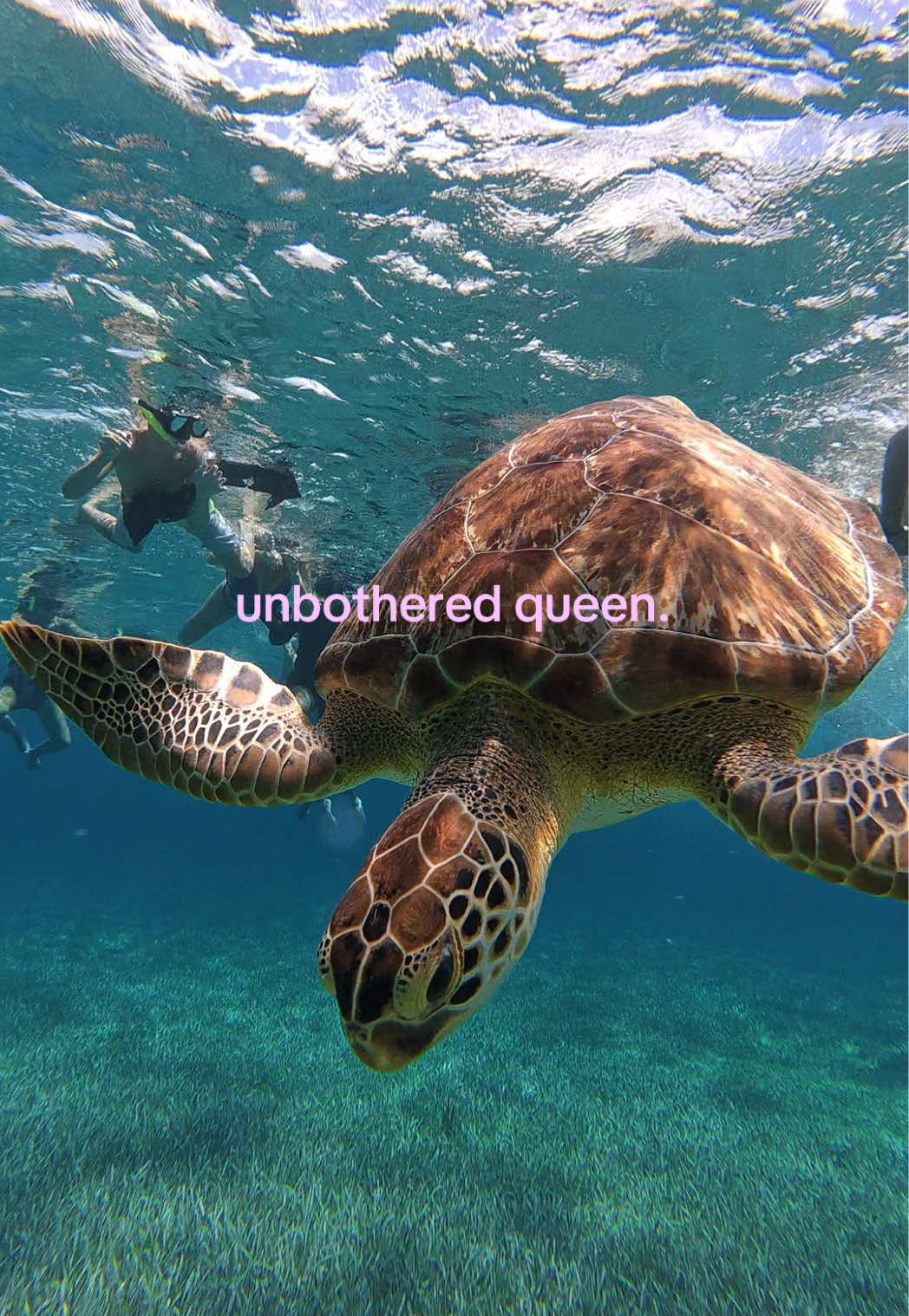 @j u l i a
