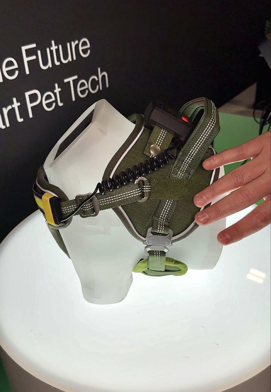 @Gadget Glimpse