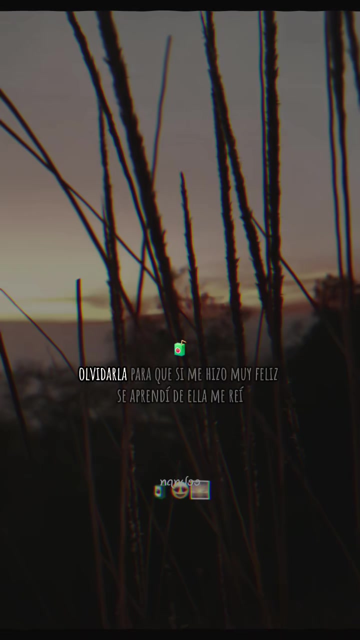 @gonsales 🥰