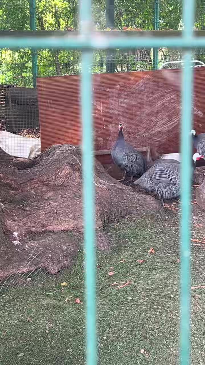 @Натуся красатуся ❤️