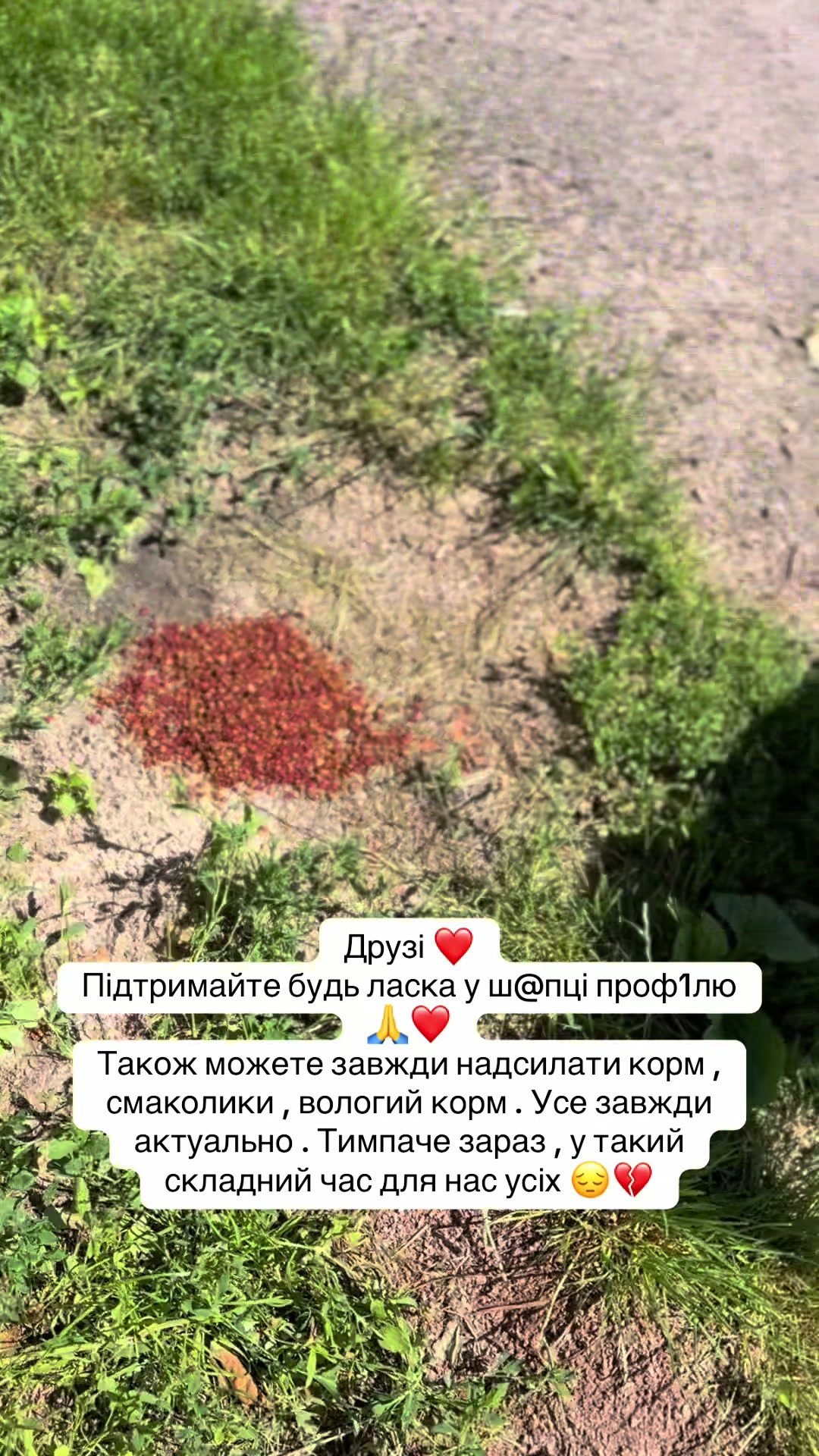 @tanya.help.animal