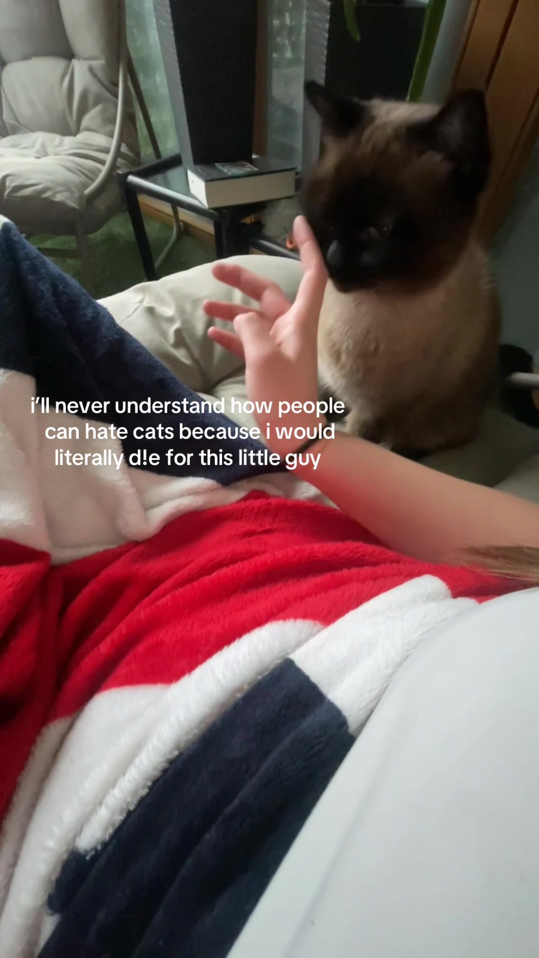 @⭐️𝓷𝓽𝓸𝓷𝓲𝓪