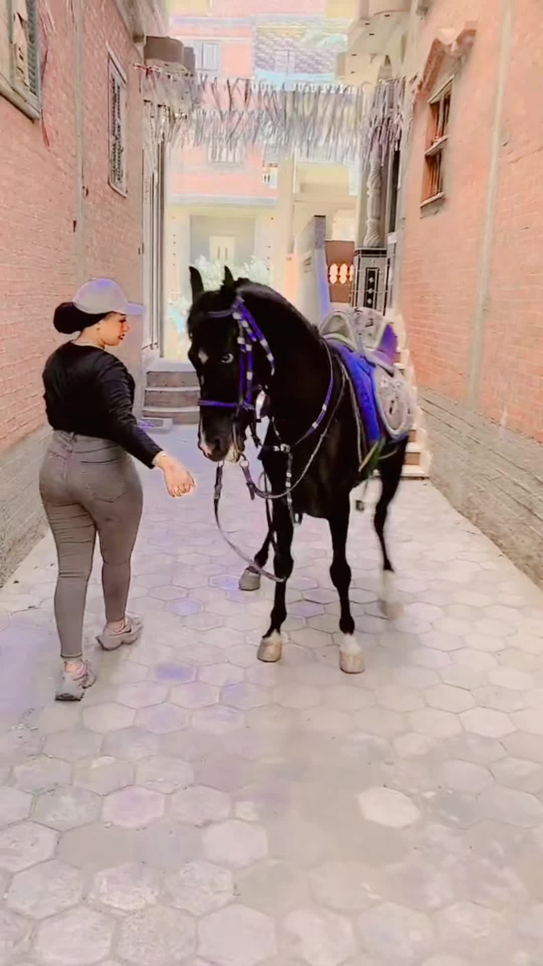 @الكابتن عبير🐎🥇🏆