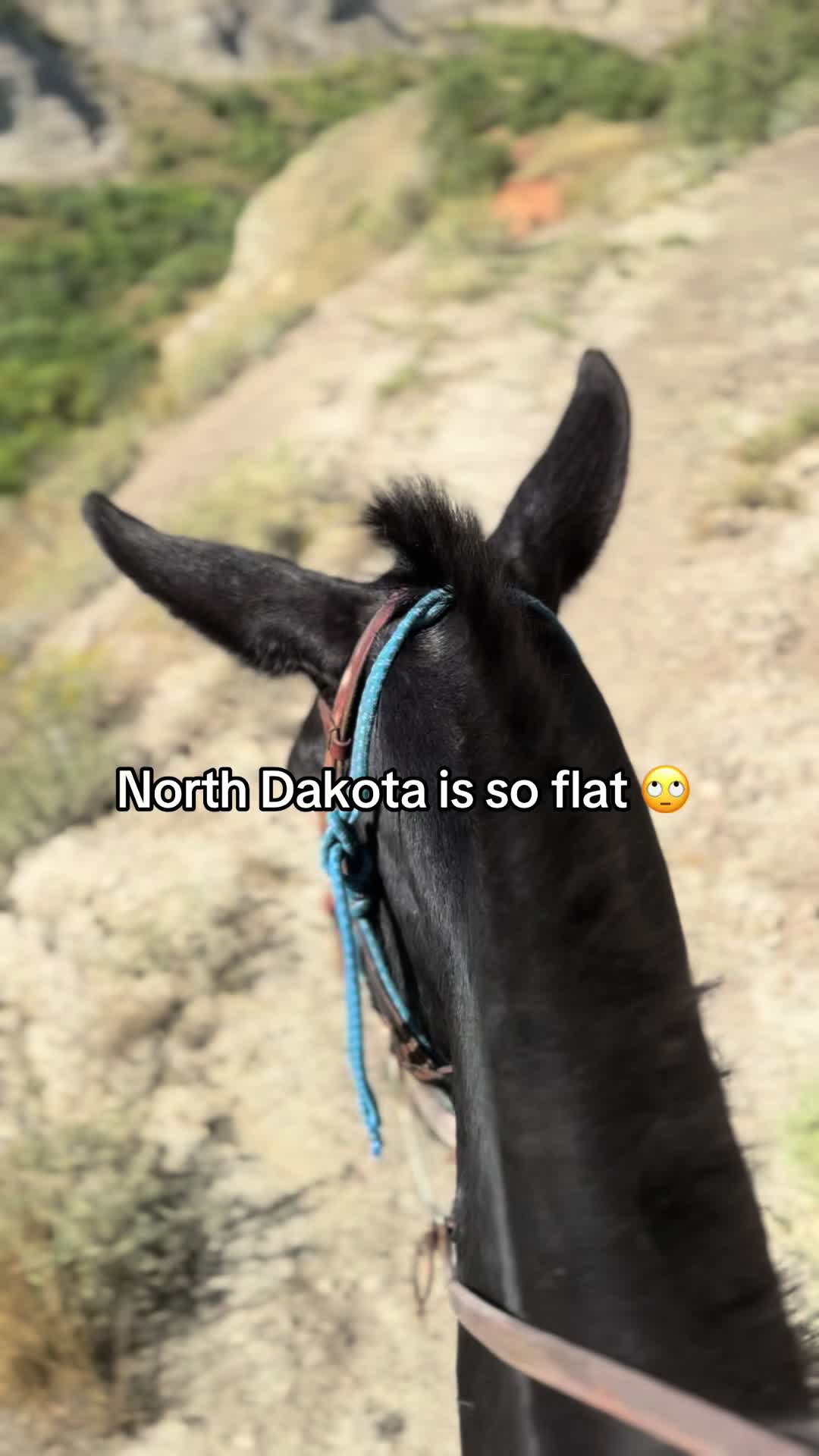 @Midwestbestie