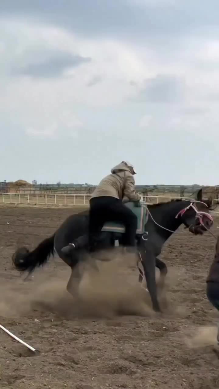 @ThunderGallops