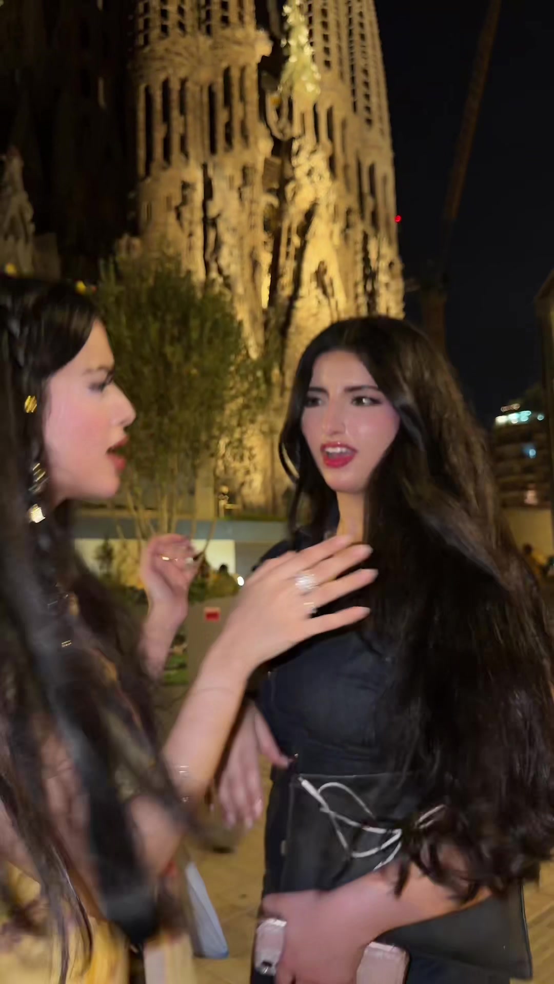 @نسرين آل سويلم