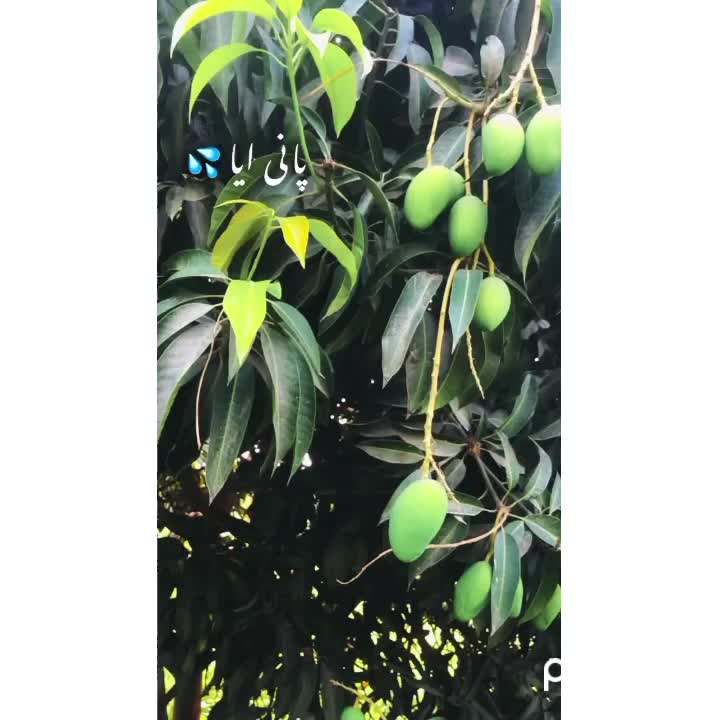 @🦋⍣⃝AℓᎥ rͥazͣaͫ 𝐏ʍ𝓁ꫜ 🥵❤️&zwj;🔥