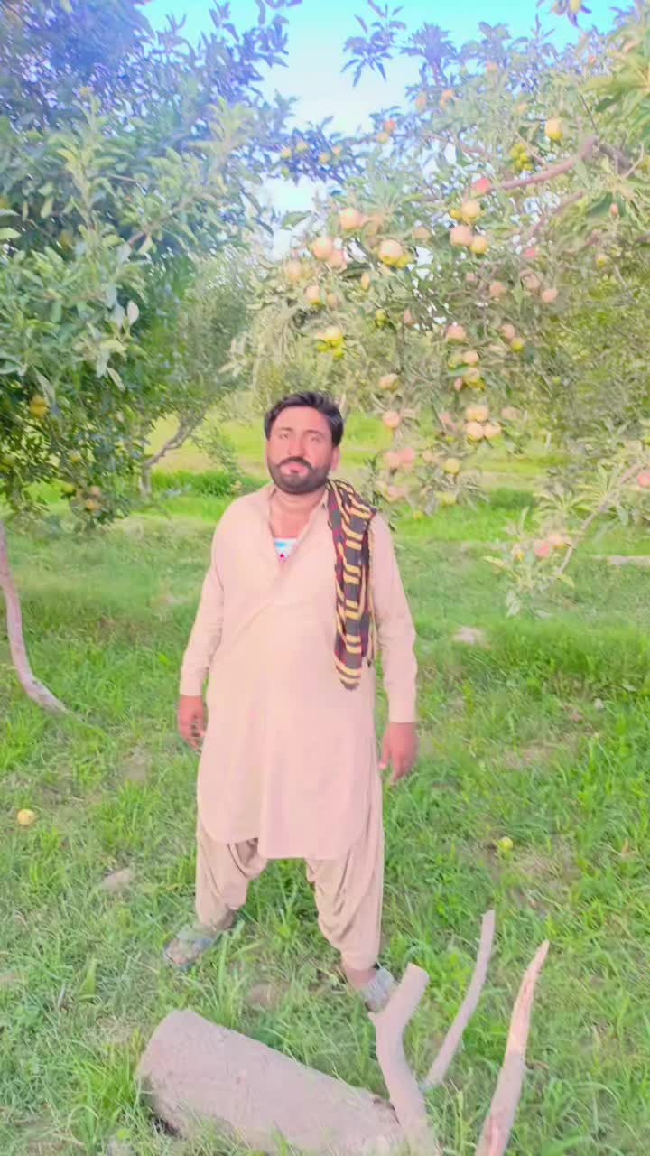 @Asif Ali Jakhrani