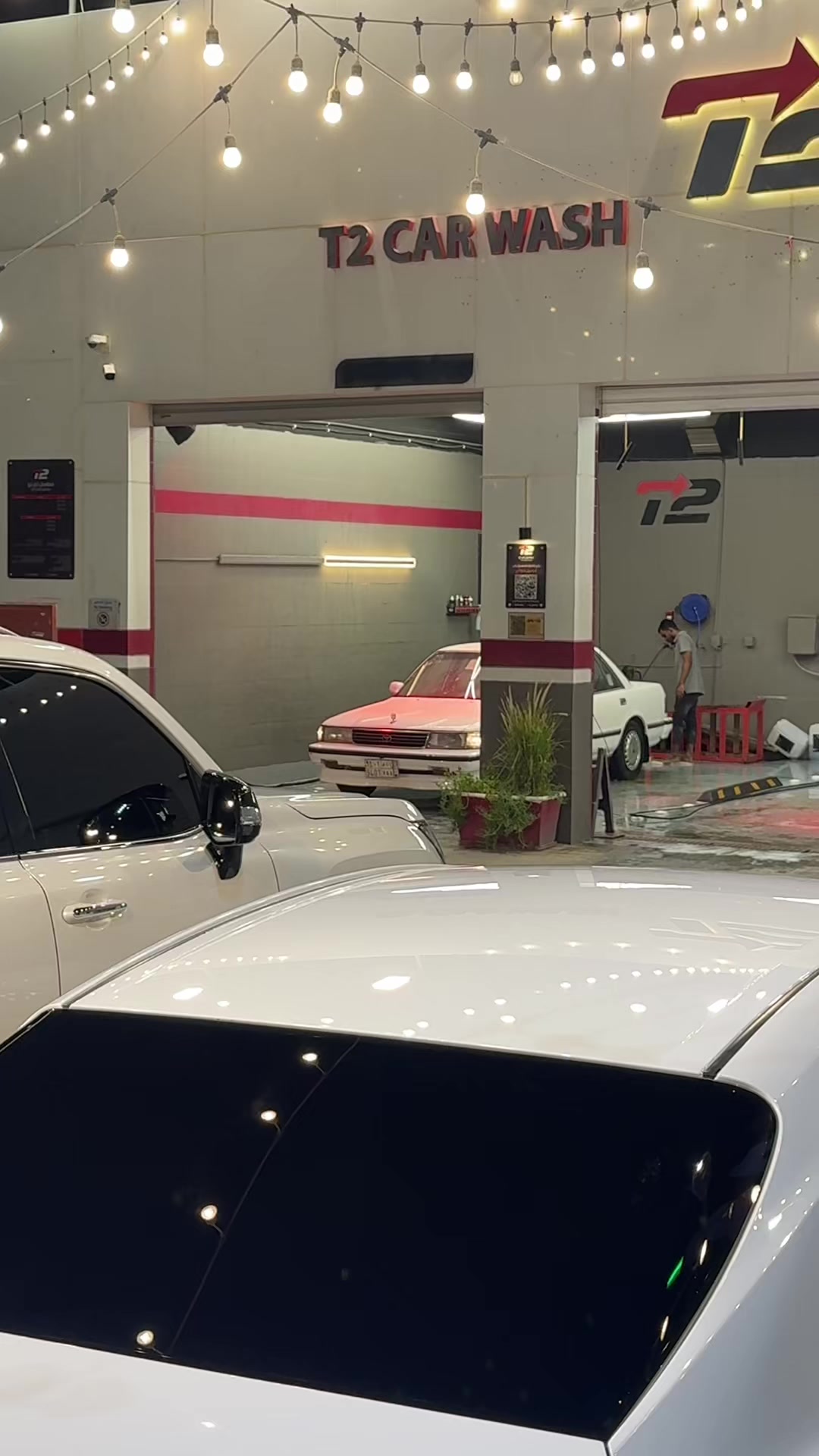 @مشمش 🌪️.