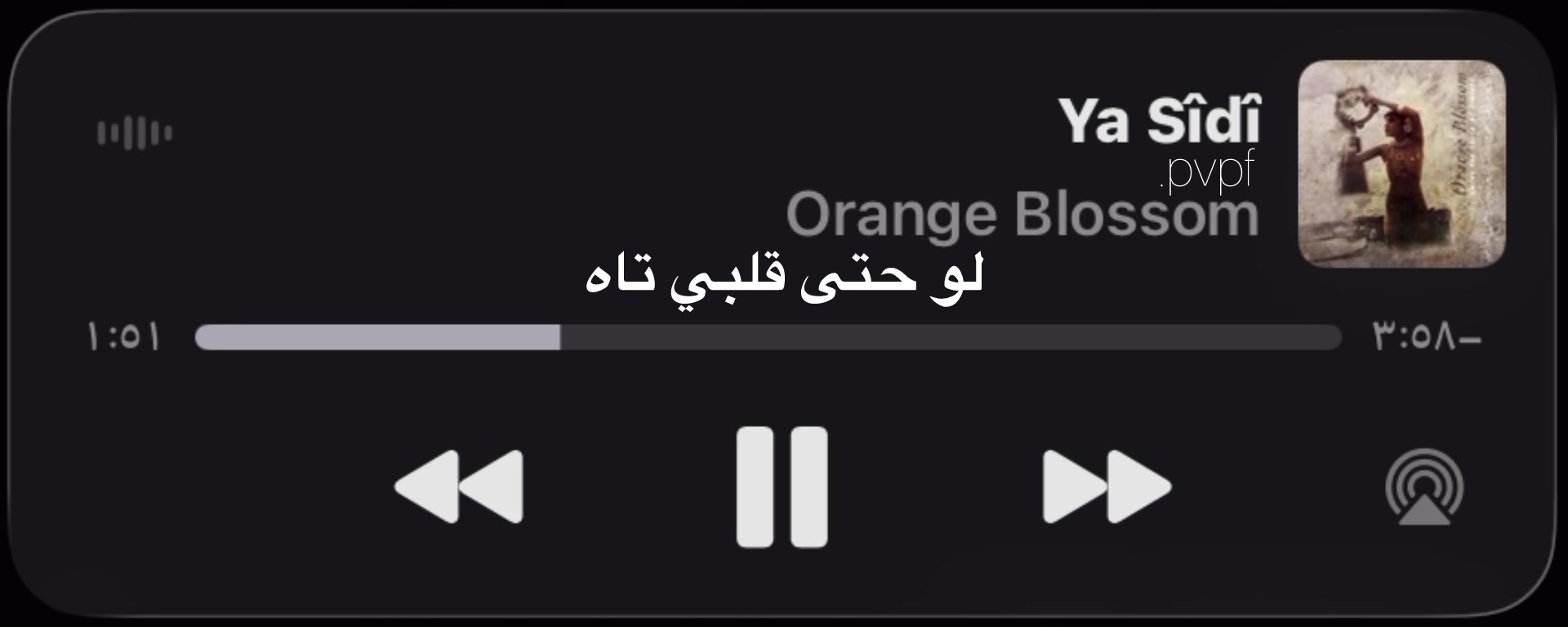 @امير 🪽
