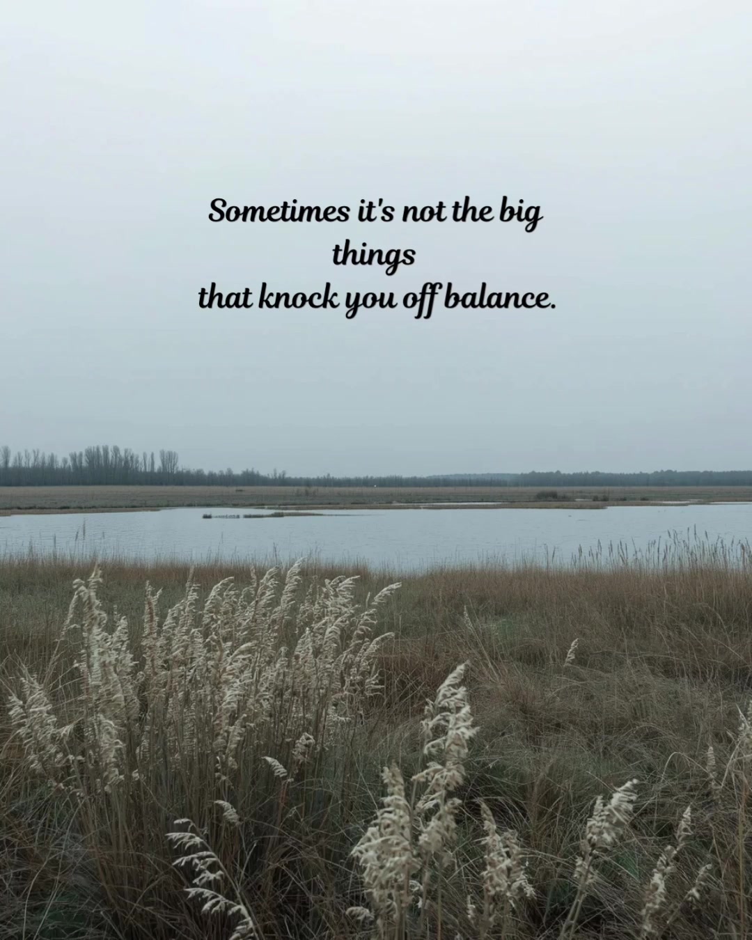 @Kelly Ranger 🇨🇦