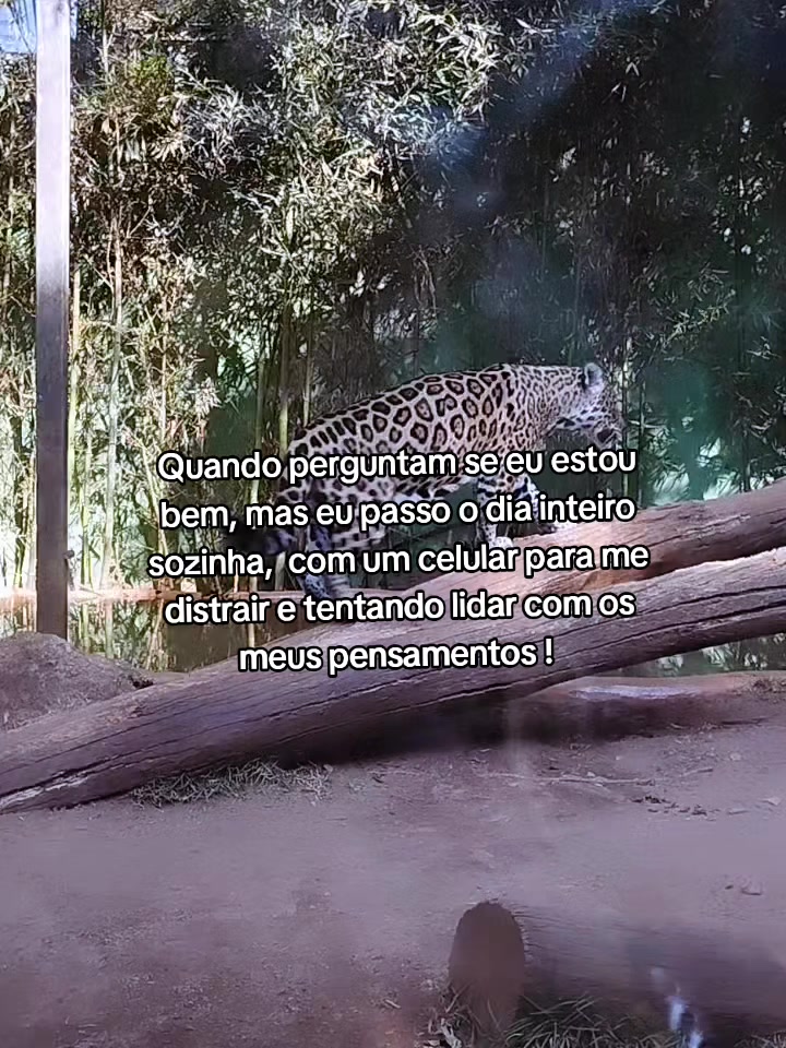 @Bê Rodrigues ๐๐ผโ๏ธ