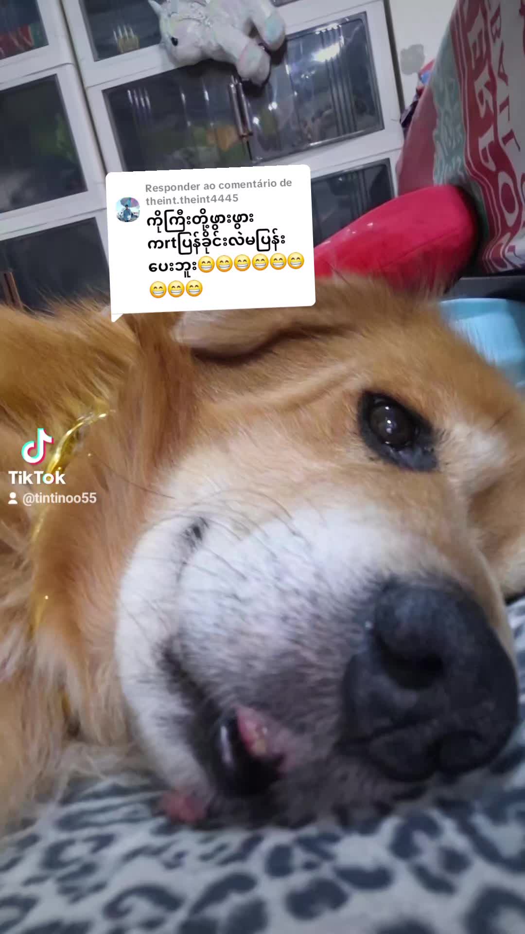 @user1659335201362
