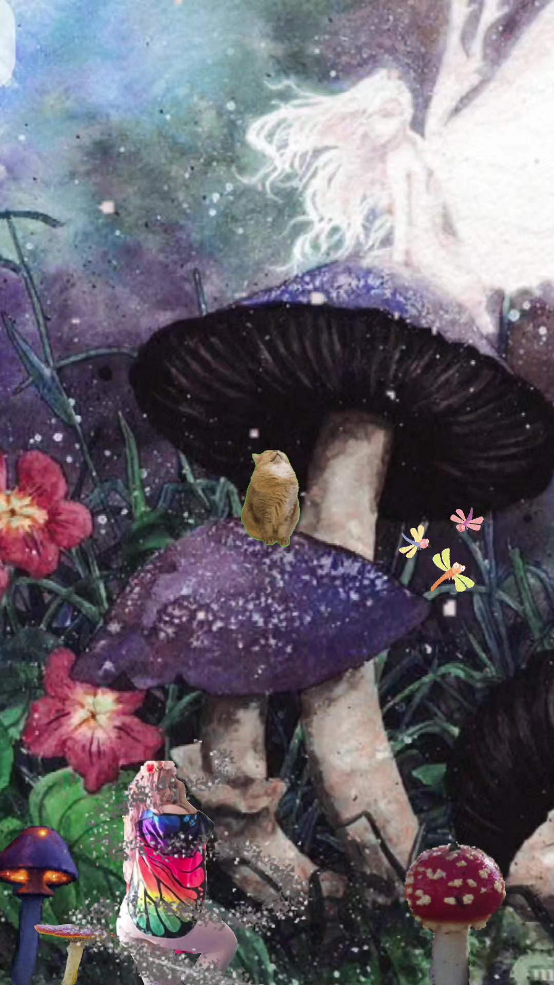 @🍄BookLoveBaby🍄