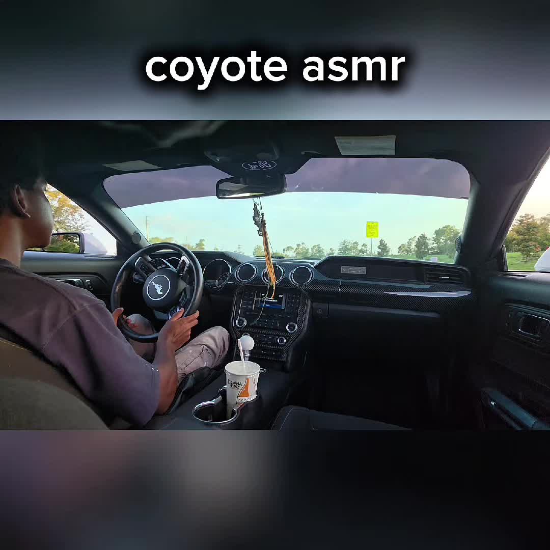 @Mehki