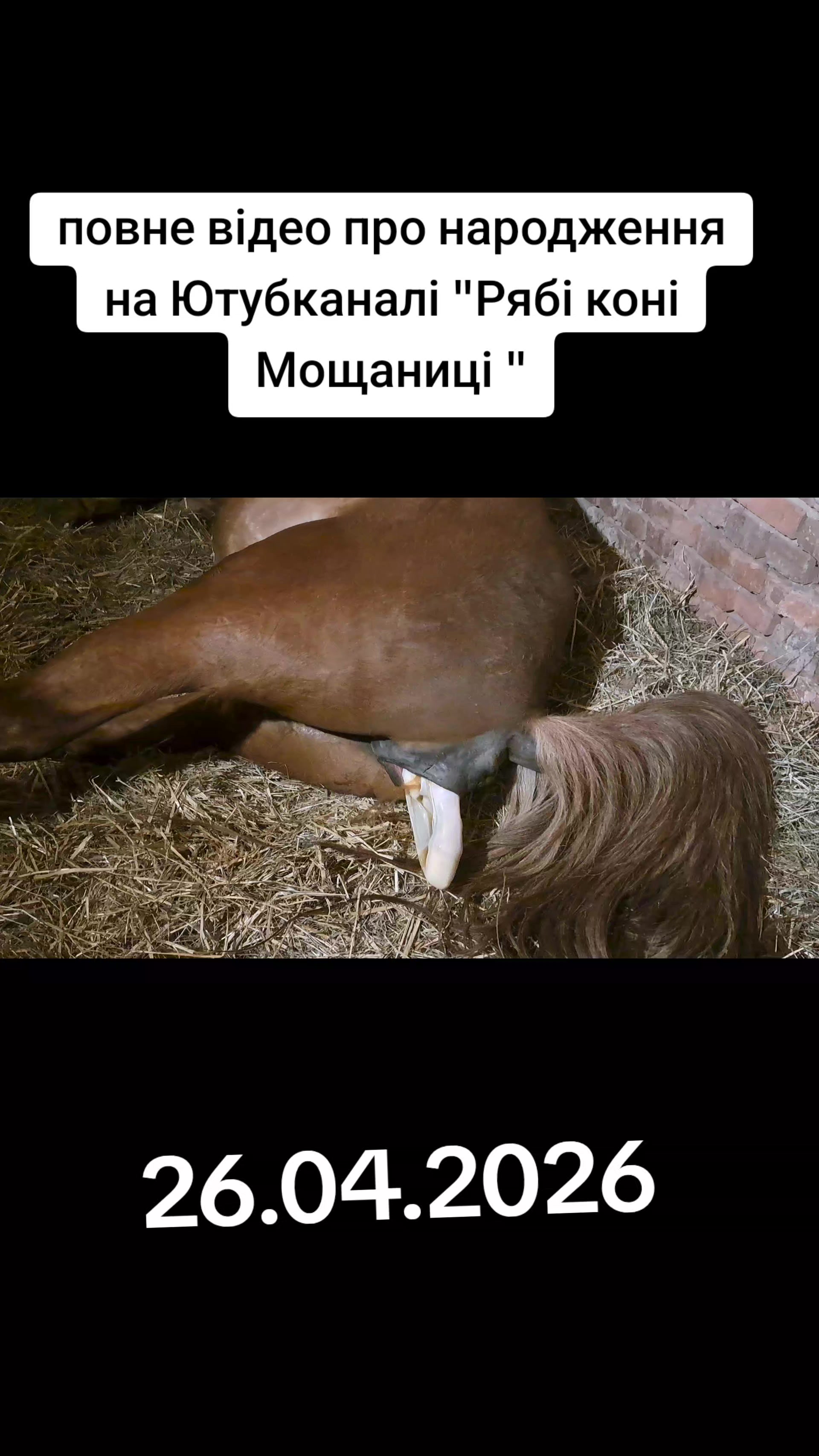 @Катерина Германюк