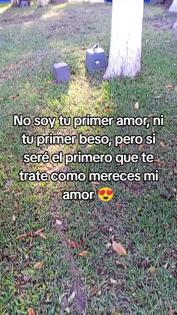 @lluvia 💫
