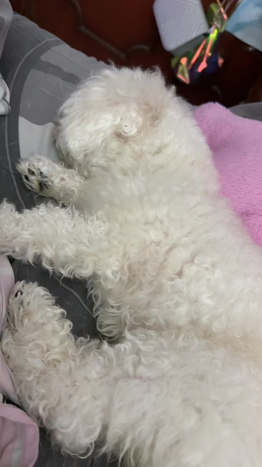@로즈
